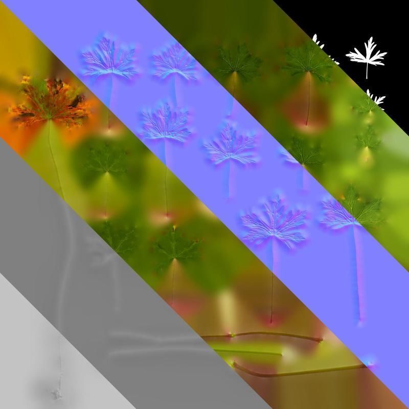 Anydrafts Geranium wilfordii Leaf 01 Texture_8