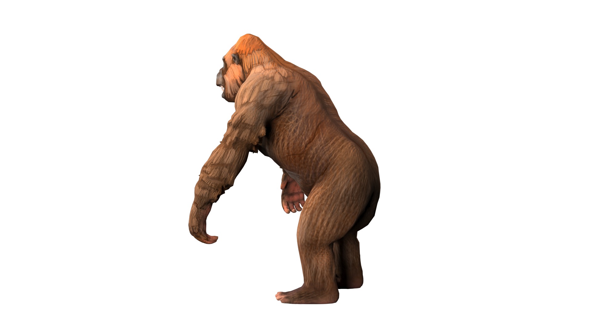 gorilla  rig  high-poly  textured 3D model_5