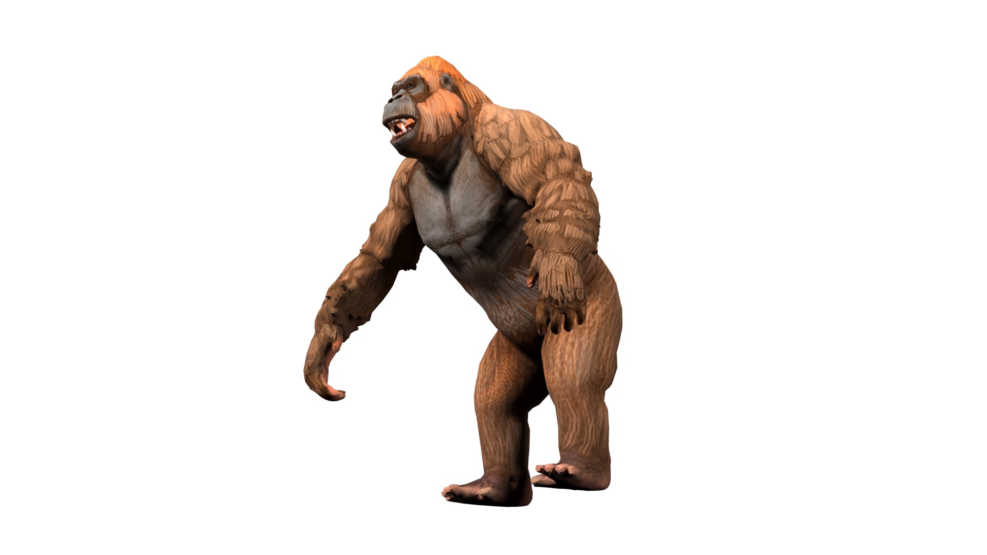 gorilla  rig  high-poly  textured 3D model_12