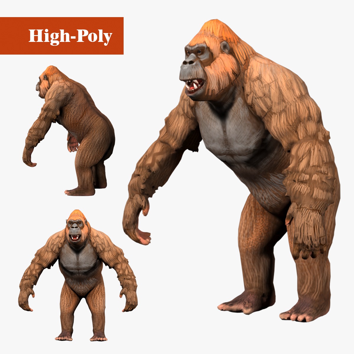 gorilla  rig  high-poly  textured 3D model_1