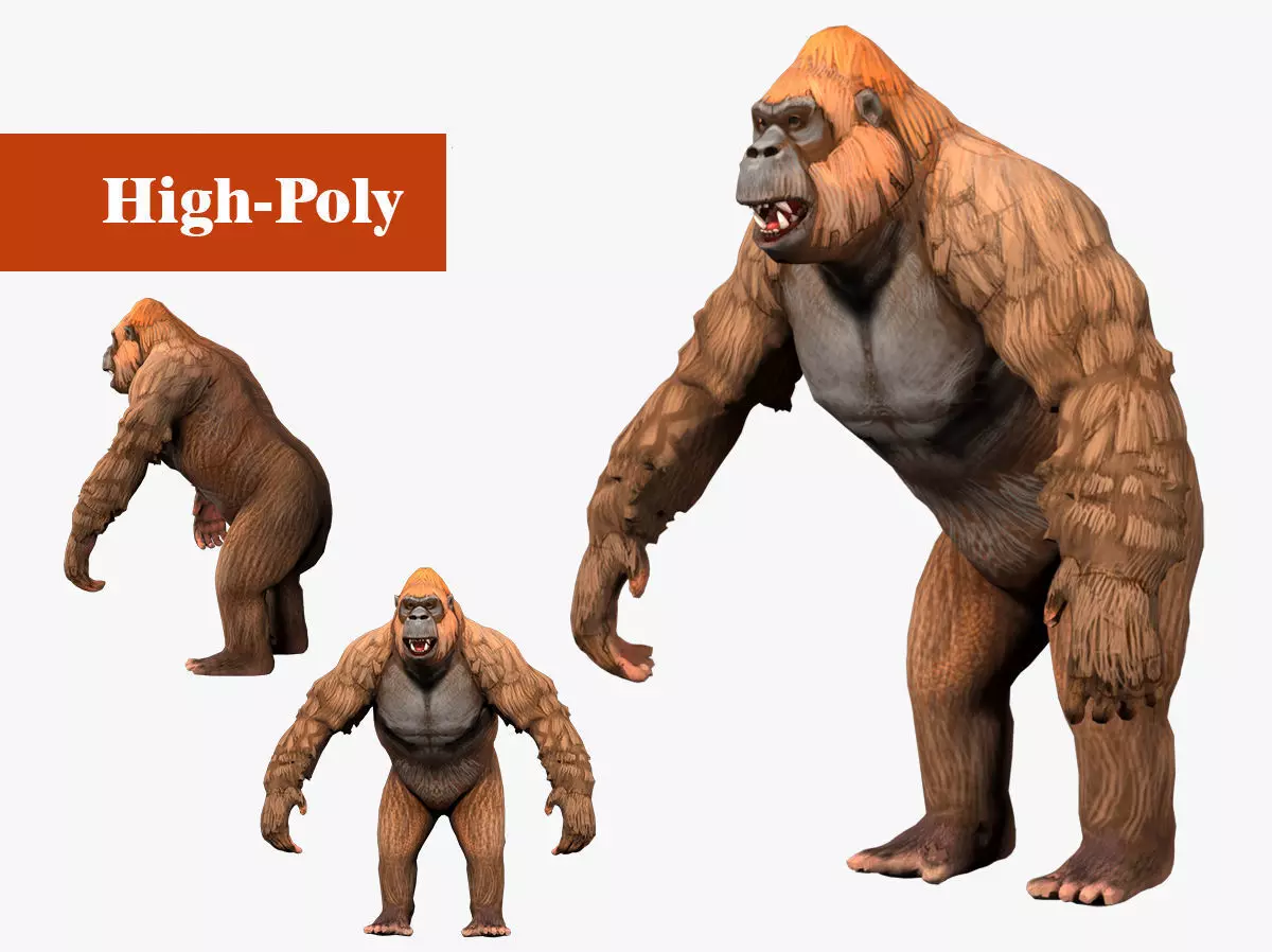 gorilla  rig  high-poly  textured 3D model_0