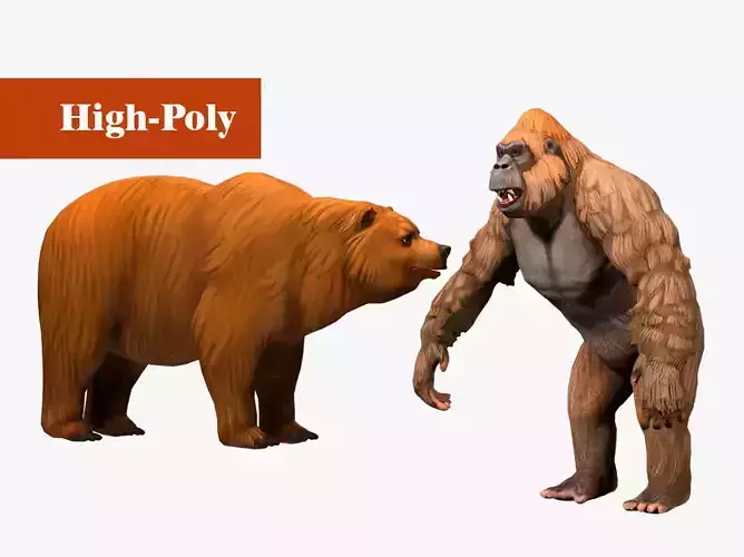 gorilla   bear  rig  high-poly  textured 3D Model Collection