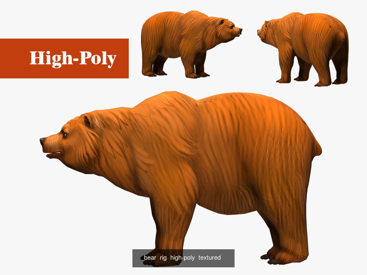 gorilla   bear  rig  high-poly  textured 3D Model Collection_2