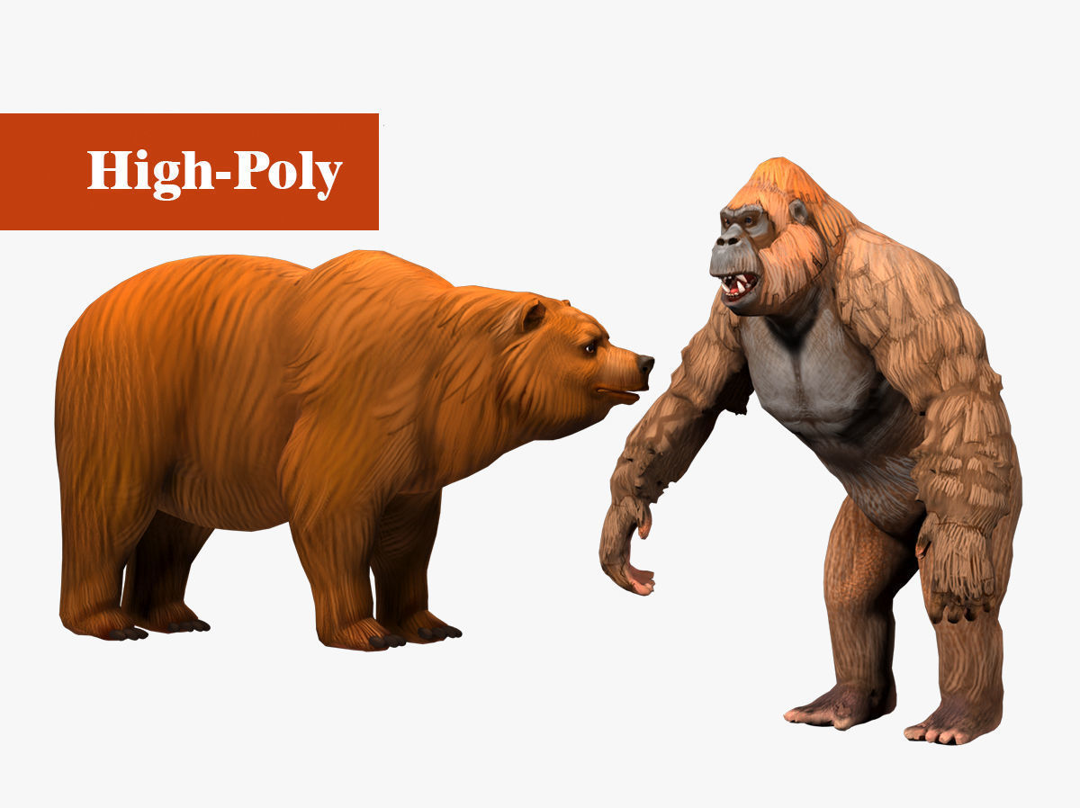 gorilla   bear  rig  high-poly  textured 3D Model Collection_4