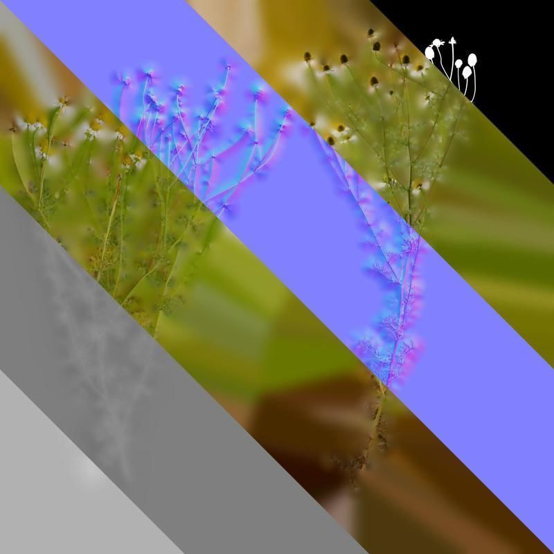 Anydrafts Matricaria recutita Atlas 02 Texture_8