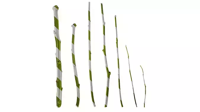 Anydrafts Nicandra physalodes Branch 01