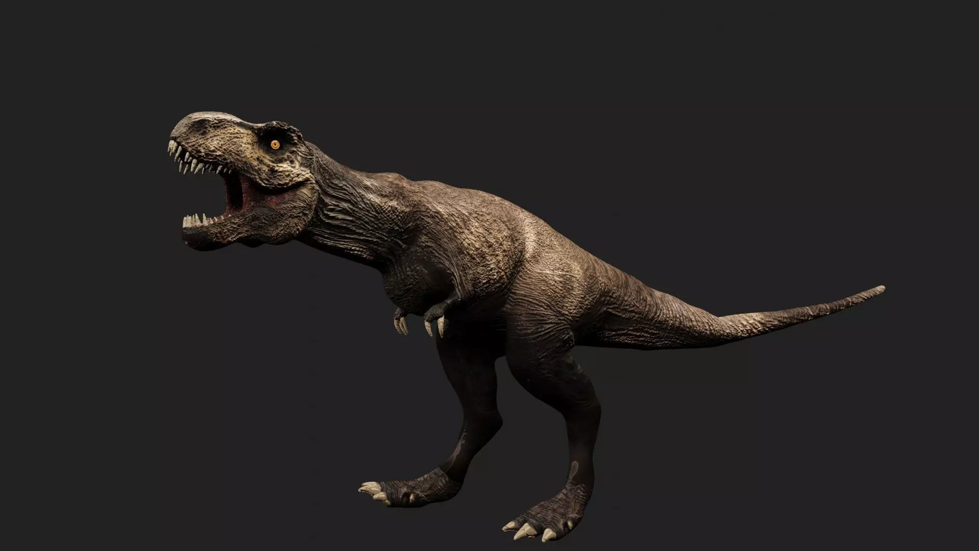 T- rex dino Low-poly 3D model_0