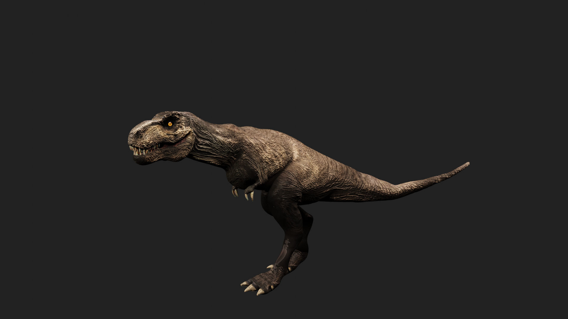T- rex dino Low-poly 3D model_5