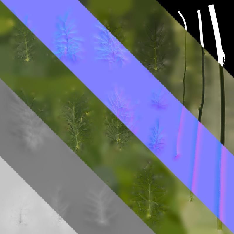 Anydrafts Nigella damascena Leaf 01 Texture_8