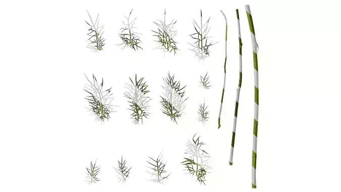 Anydrafts Nigella damascena Leaf 01