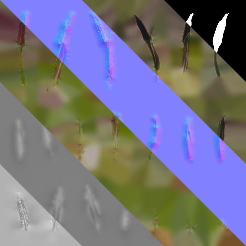 Anydrafts Oenothera glazioviana Atlas 02 Texture_8