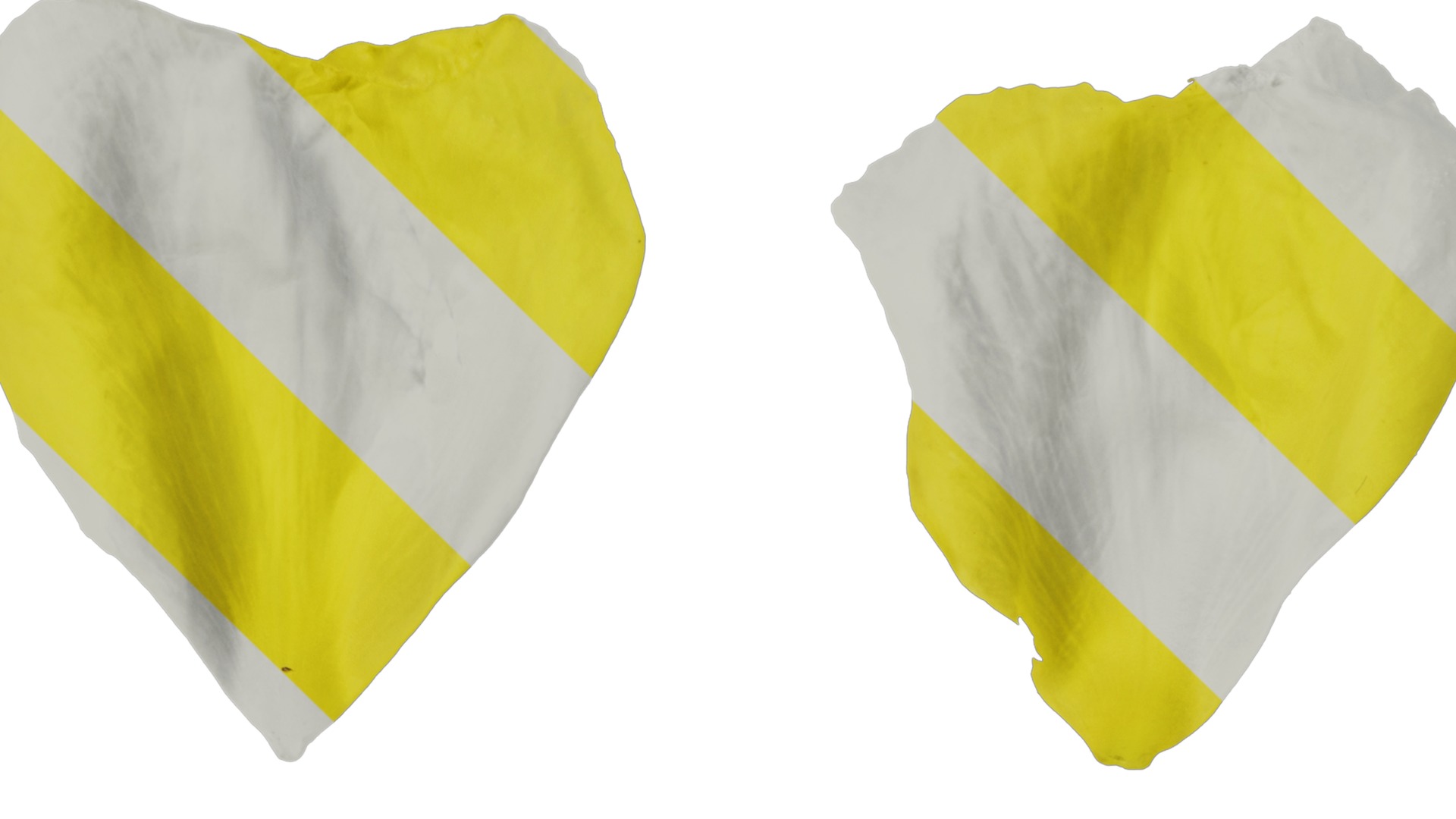 Anydrafts Oenothera glazioviana Flower 02 Texture_1