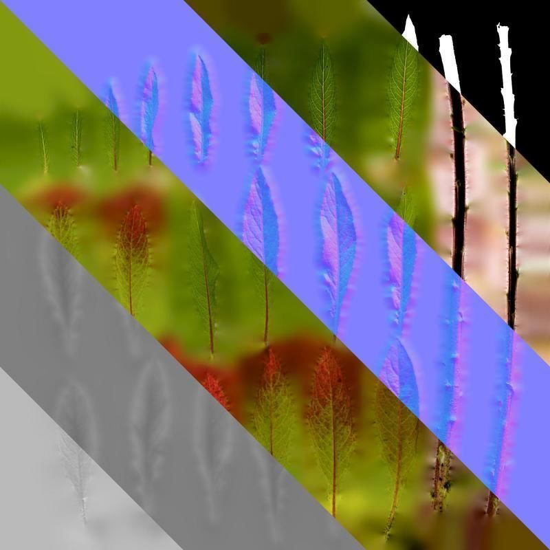 Anydrafts Oenothera glazioviana Leaf 02 Texture_8