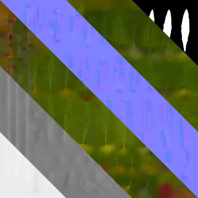 Anydrafts Oenothera lindheimeri Leaf 01 Texture_8