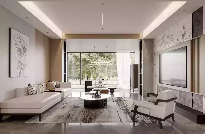 apartment interior scenes  