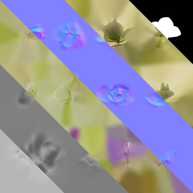 Anydrafts Origanum kent beauty Flower 01 Texture_8