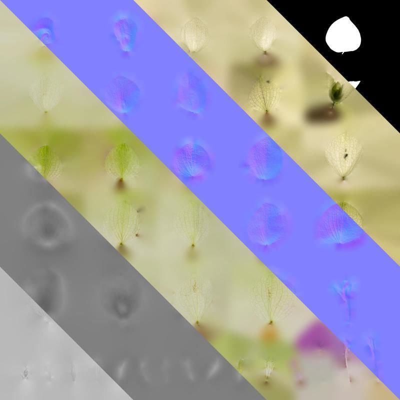 Anydrafts Origanum kent beauty Flower 02 Texture_8