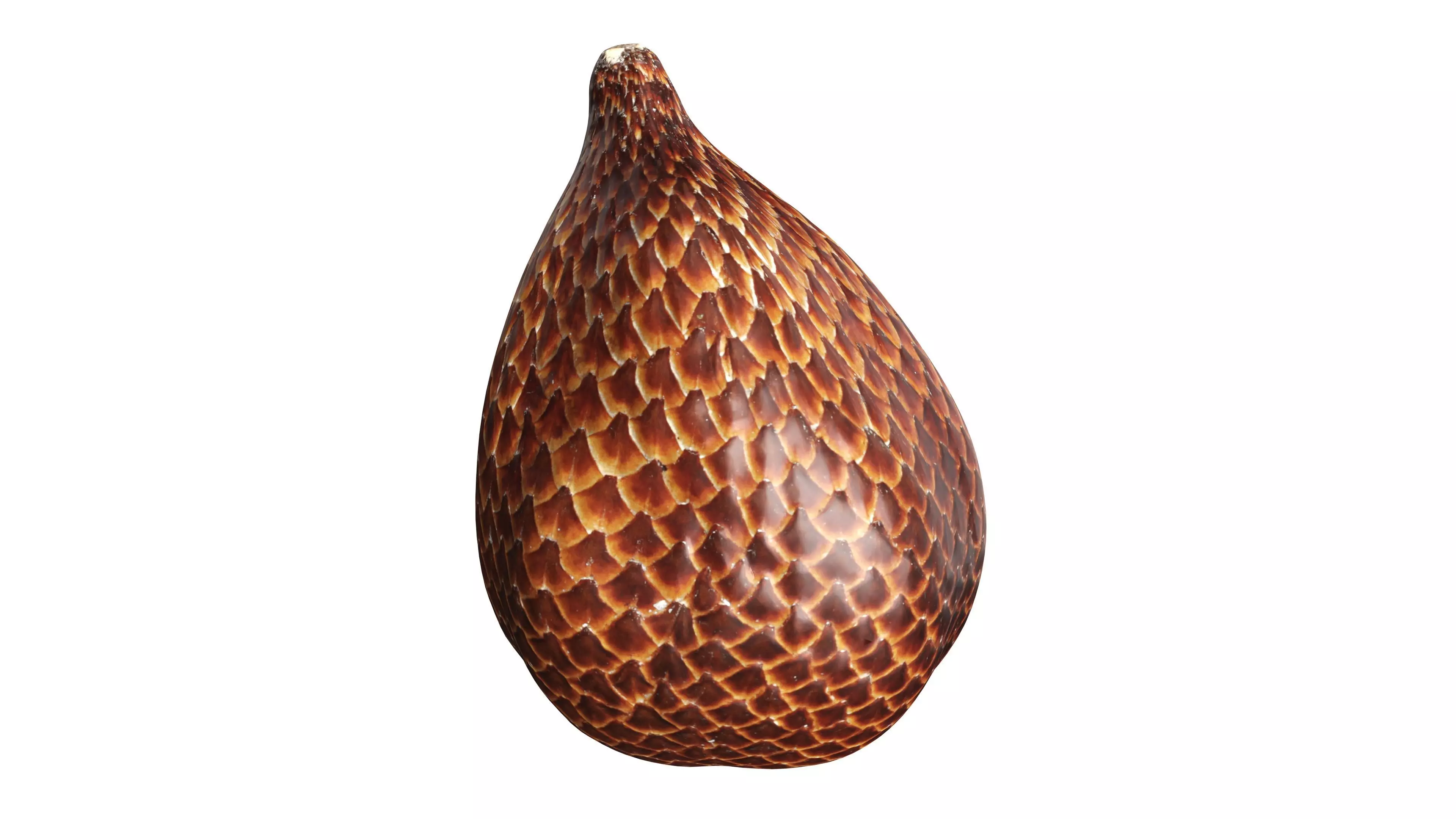 Salak Snake fruit Free 3D model