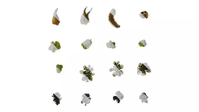 Anydrafts Juglans regia Flower 01