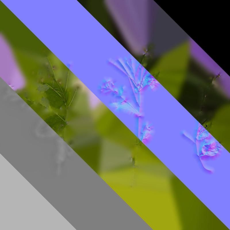 Anydrafts Orychophragmus violaceus Atlas 04 Texture_8