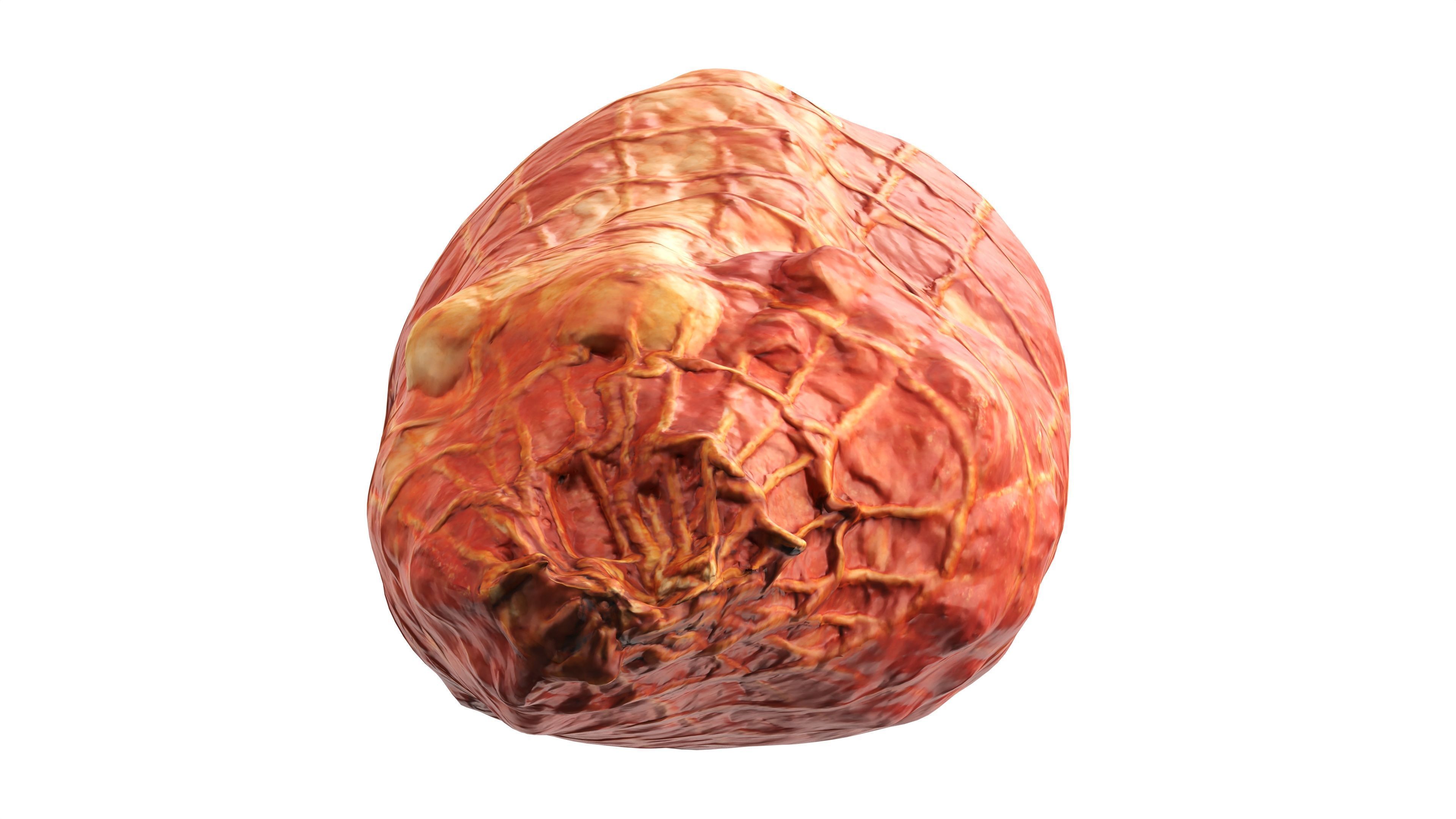 Boiled ham piece 3D model_9