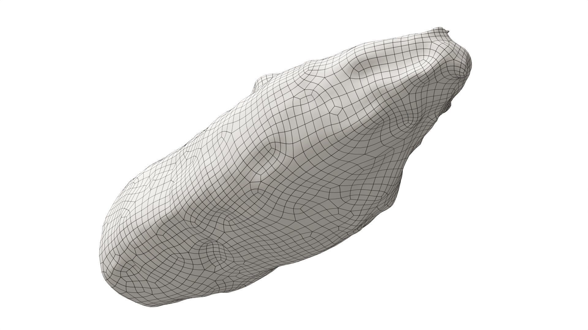 Boiled ham piece 3D model_11