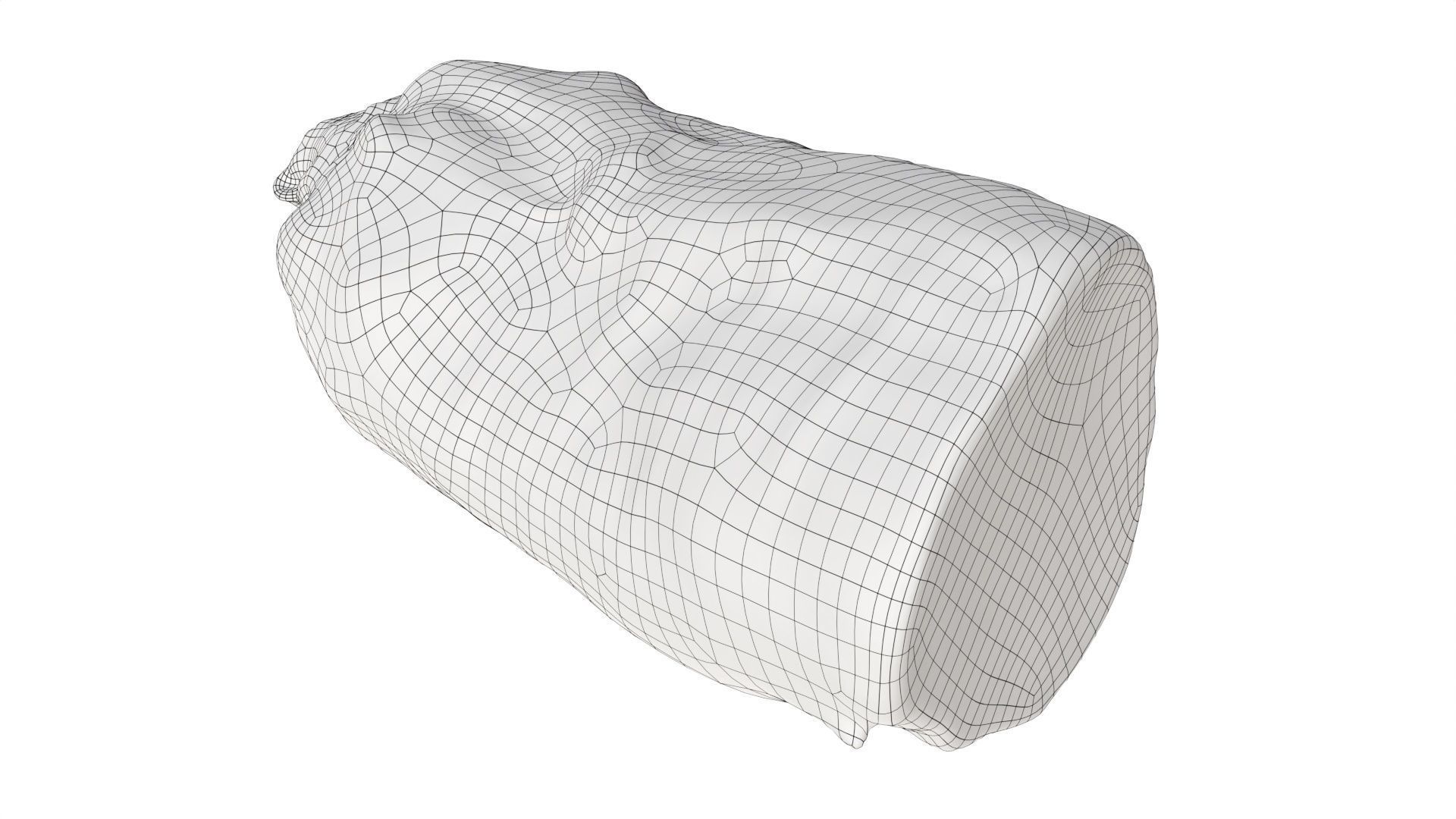 Boiled ham piece 3D model_10