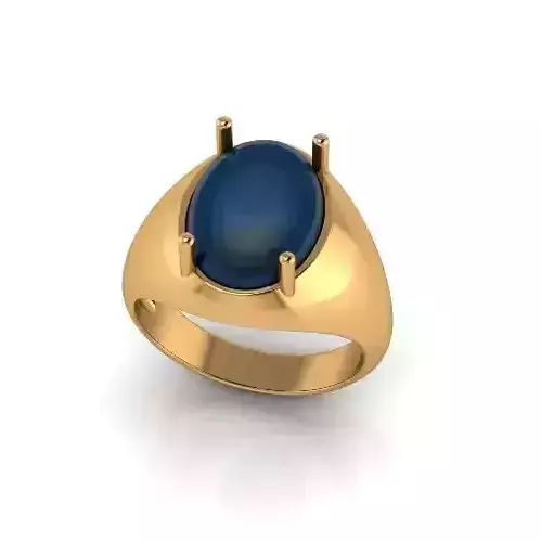 Ring Model 6873