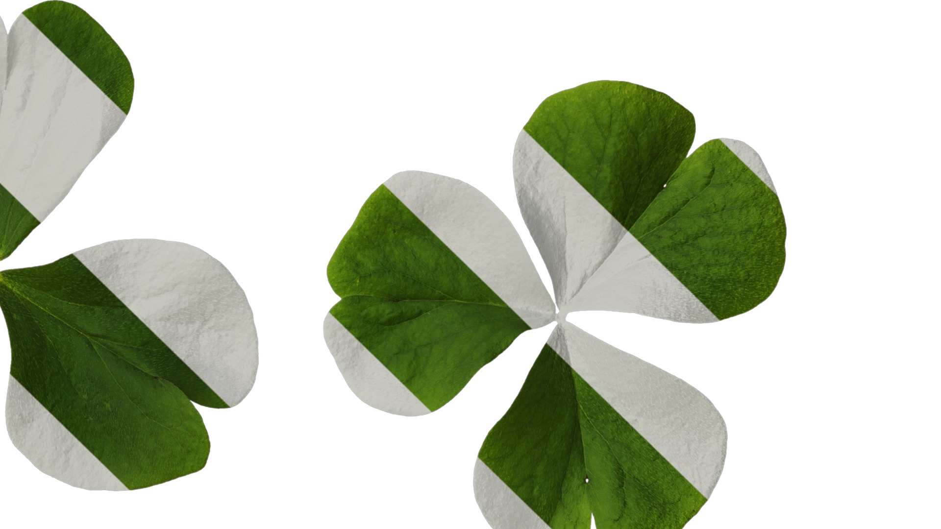 Anydrafts Oxalis corymbosa Leaf 01 Texture_4