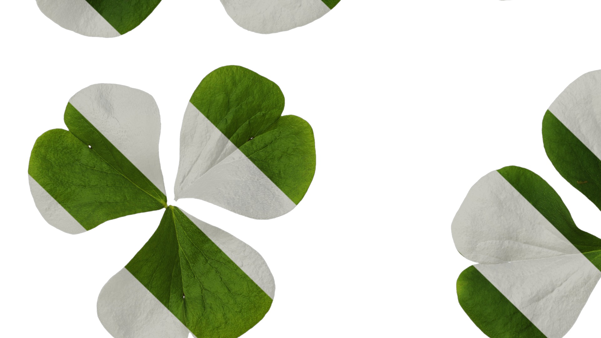 Anydrafts Oxalis corymbosa Leaf 01 Texture_3