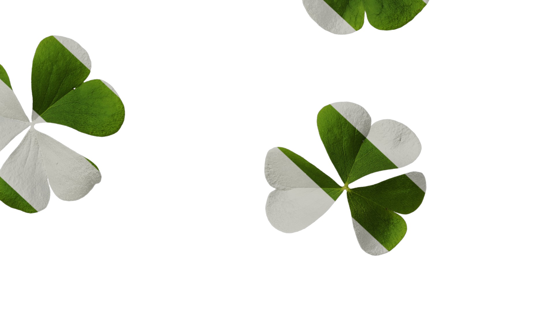 Anydrafts Oxalis corymbosa Leaf 01 Texture_6