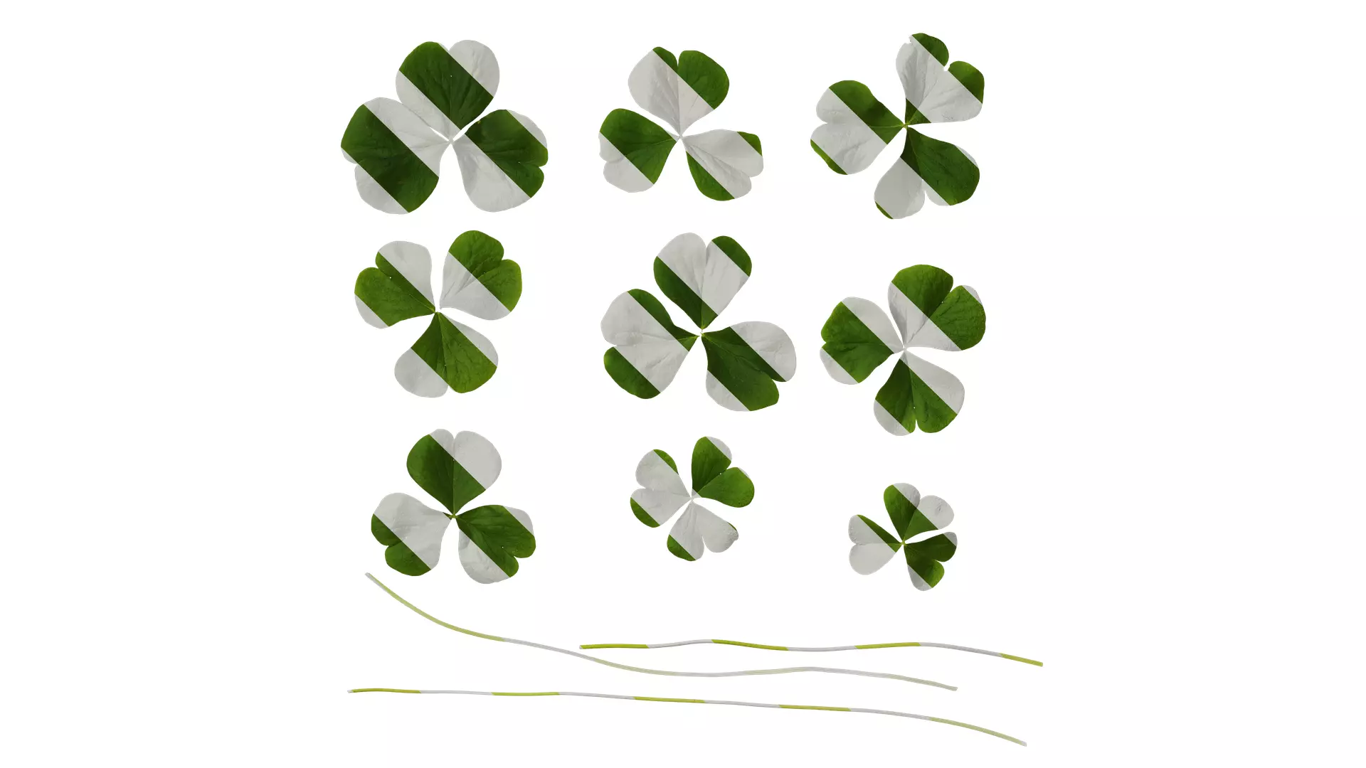 Anydrafts Oxalis corymbosa Leaf 01 Texture_0