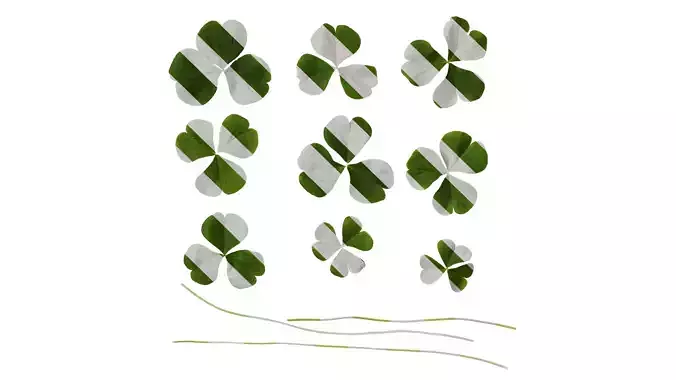 Anydrafts Oxalis corymbosa Leaf 01