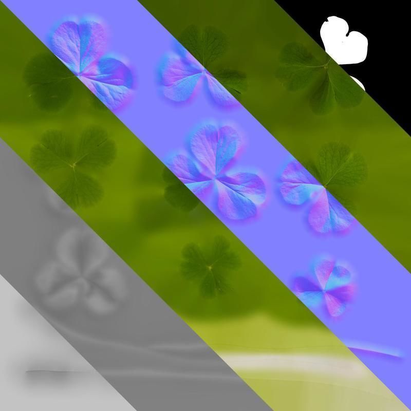 Anydrafts Oxalis corymbosa Leaf 01 Texture_8