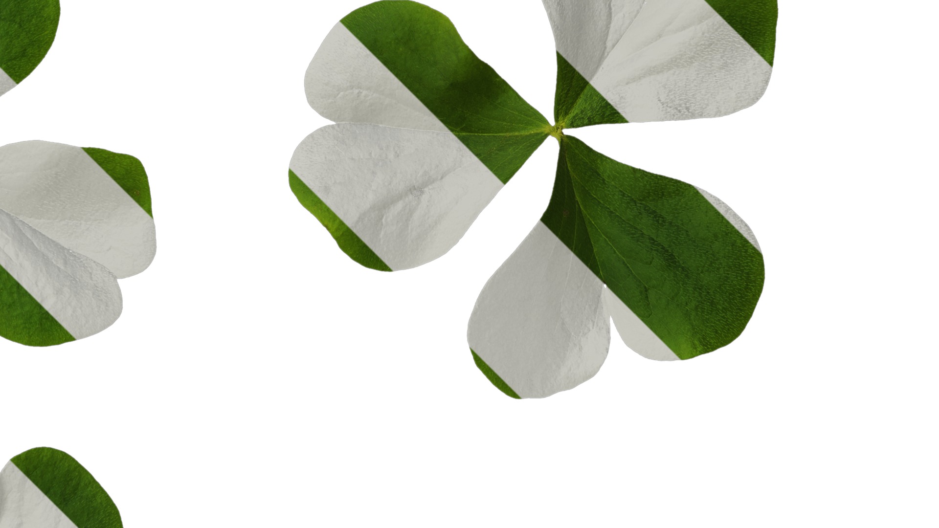 Anydrafts Oxalis corymbosa Leaf 01 Texture_2