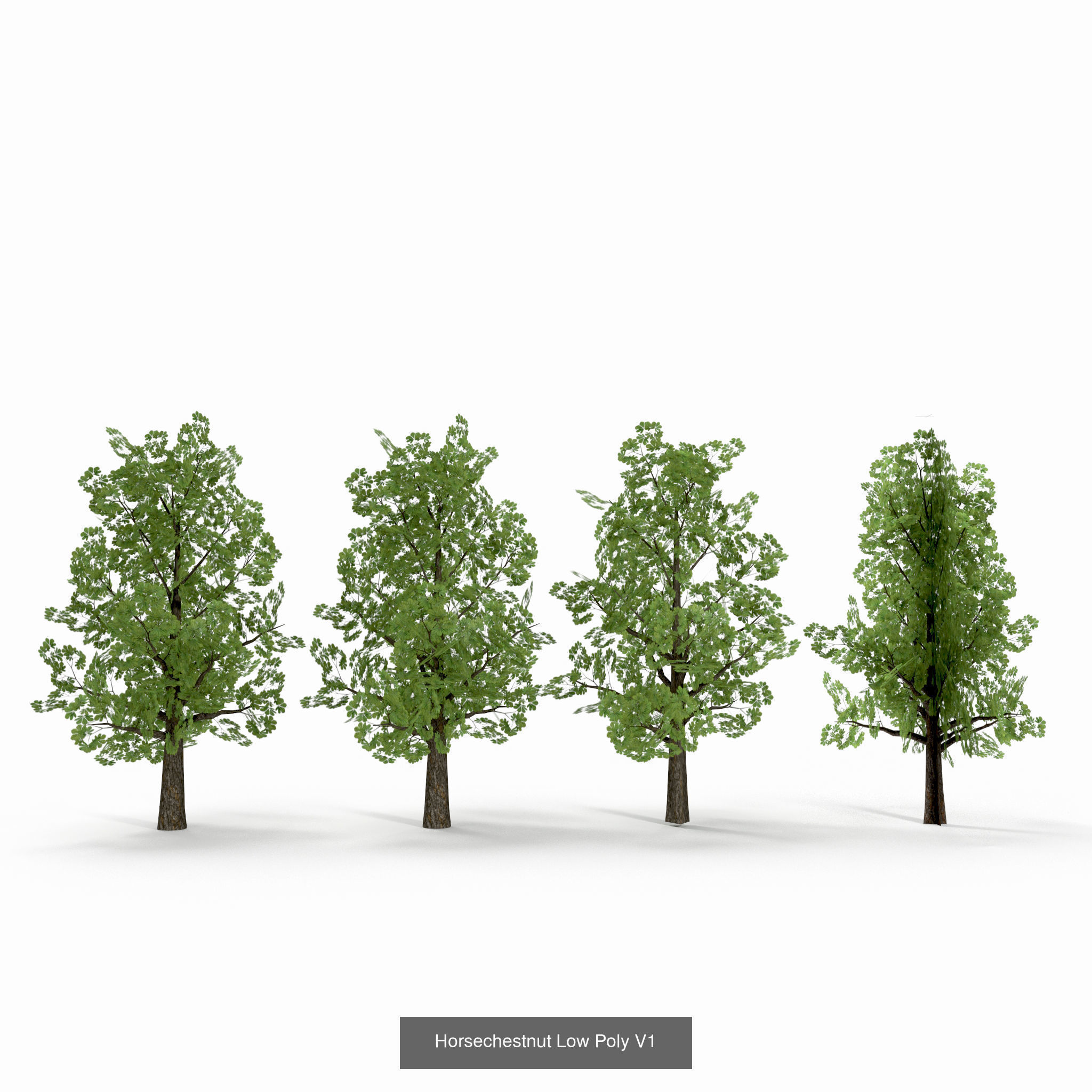 Low Poly Plants Collection _3