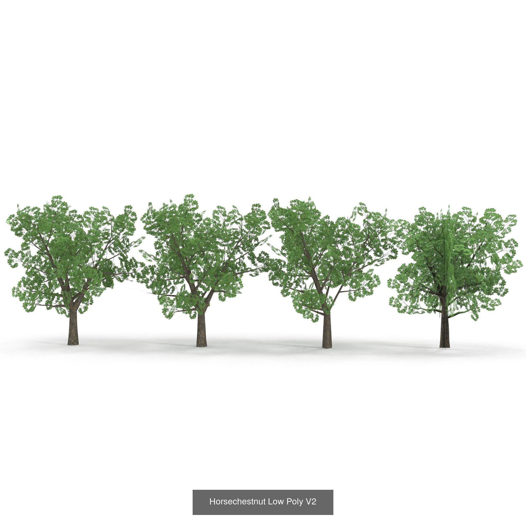 Low Poly Plants Collection _4