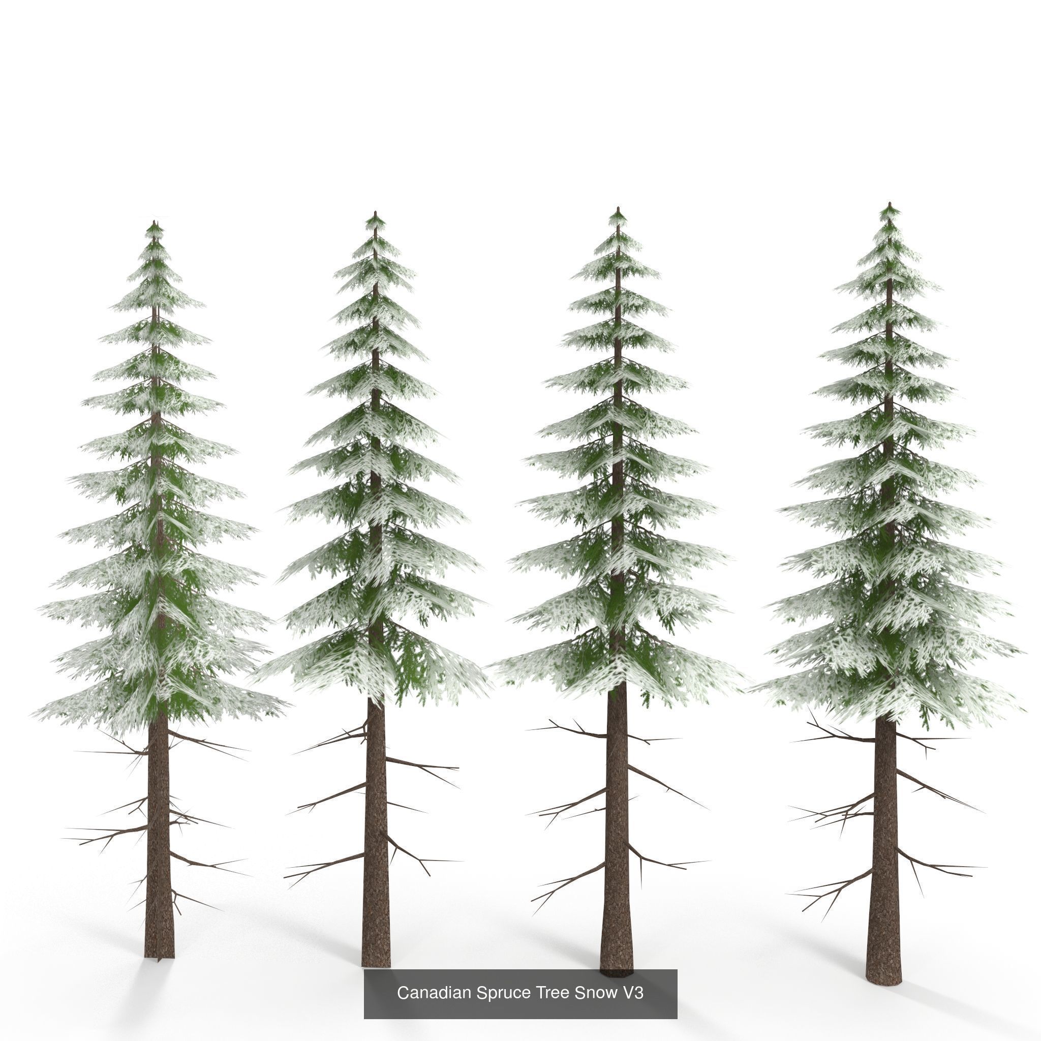 Low Poly Plants Collection _13