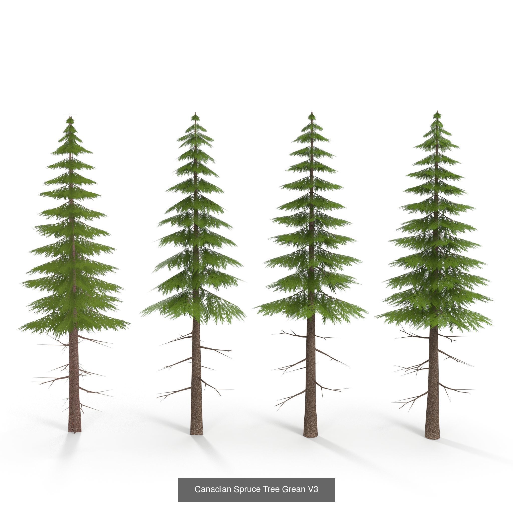 Low Poly Plants Collection _10