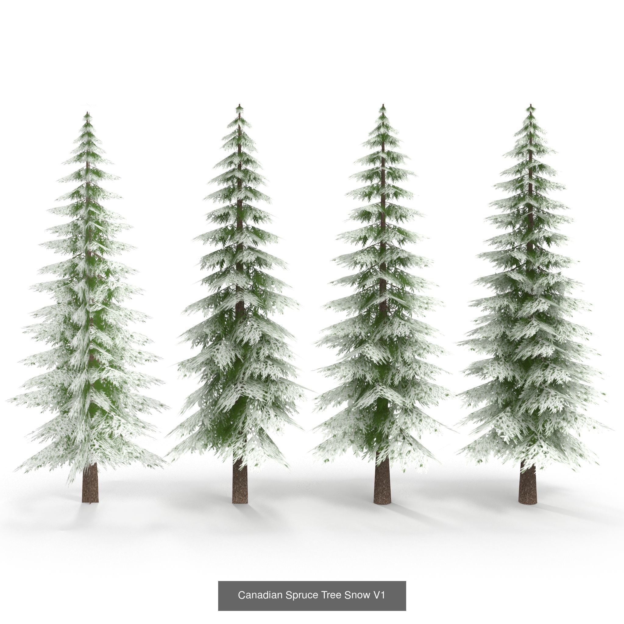 Low Poly Plants Collection _11