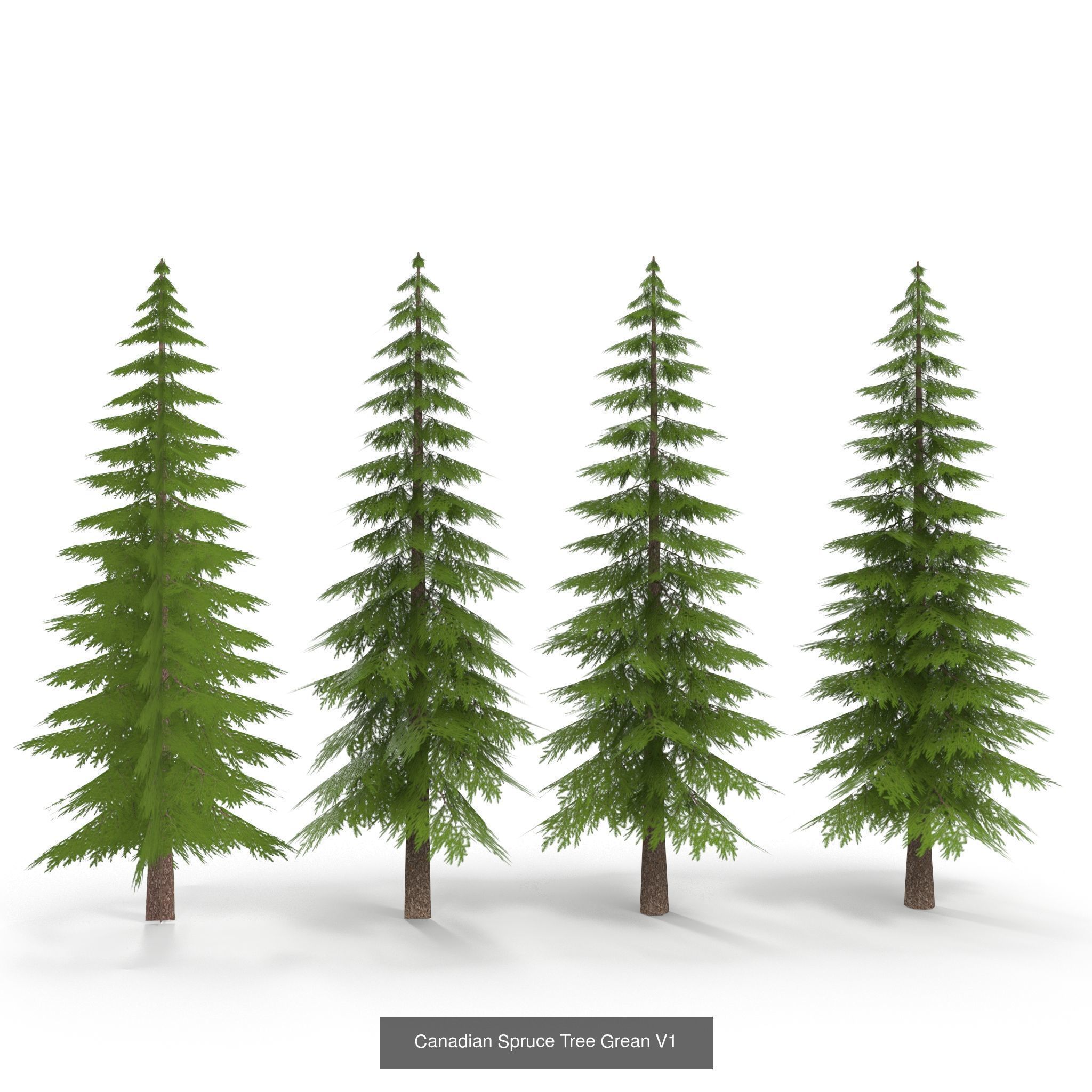 Low Poly Plants Collection _8