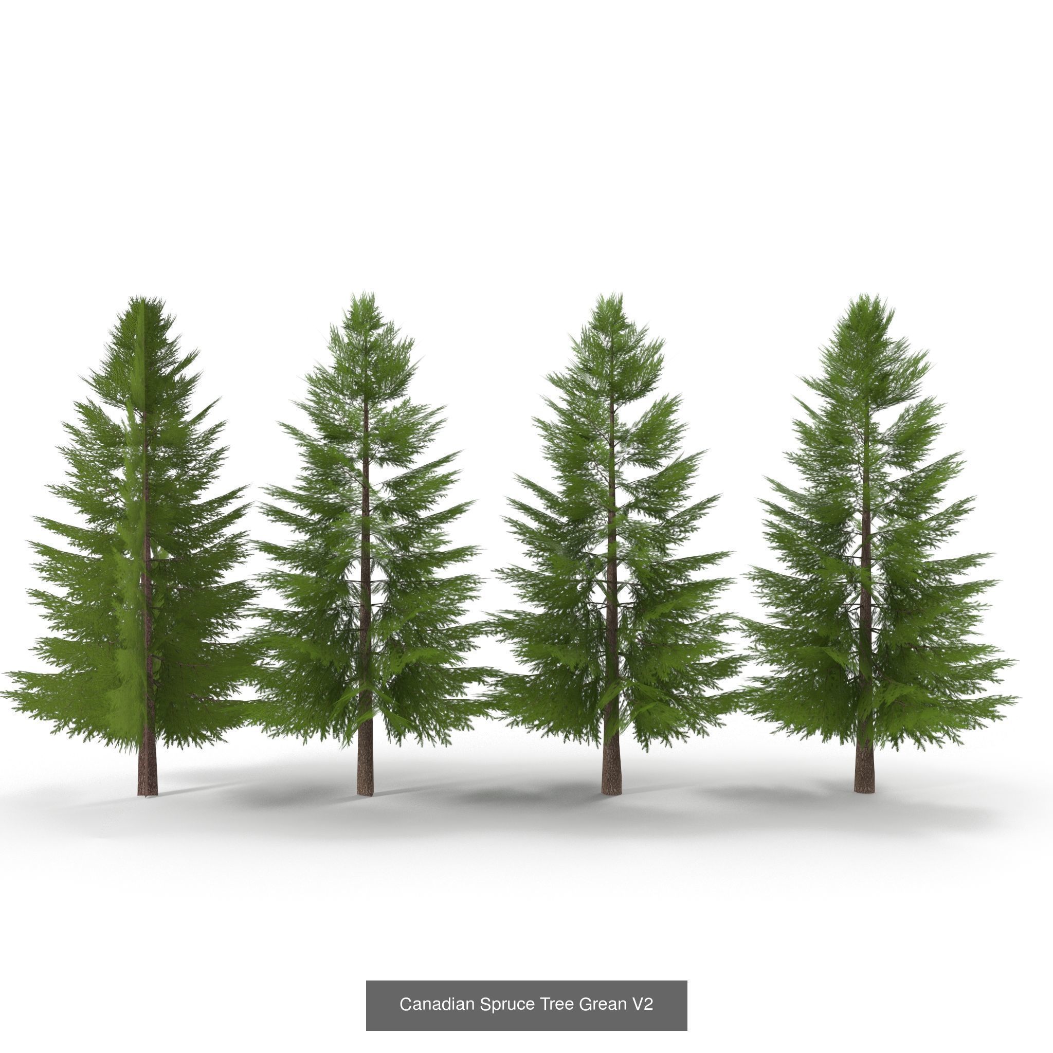 Low Poly Plants Collection _9