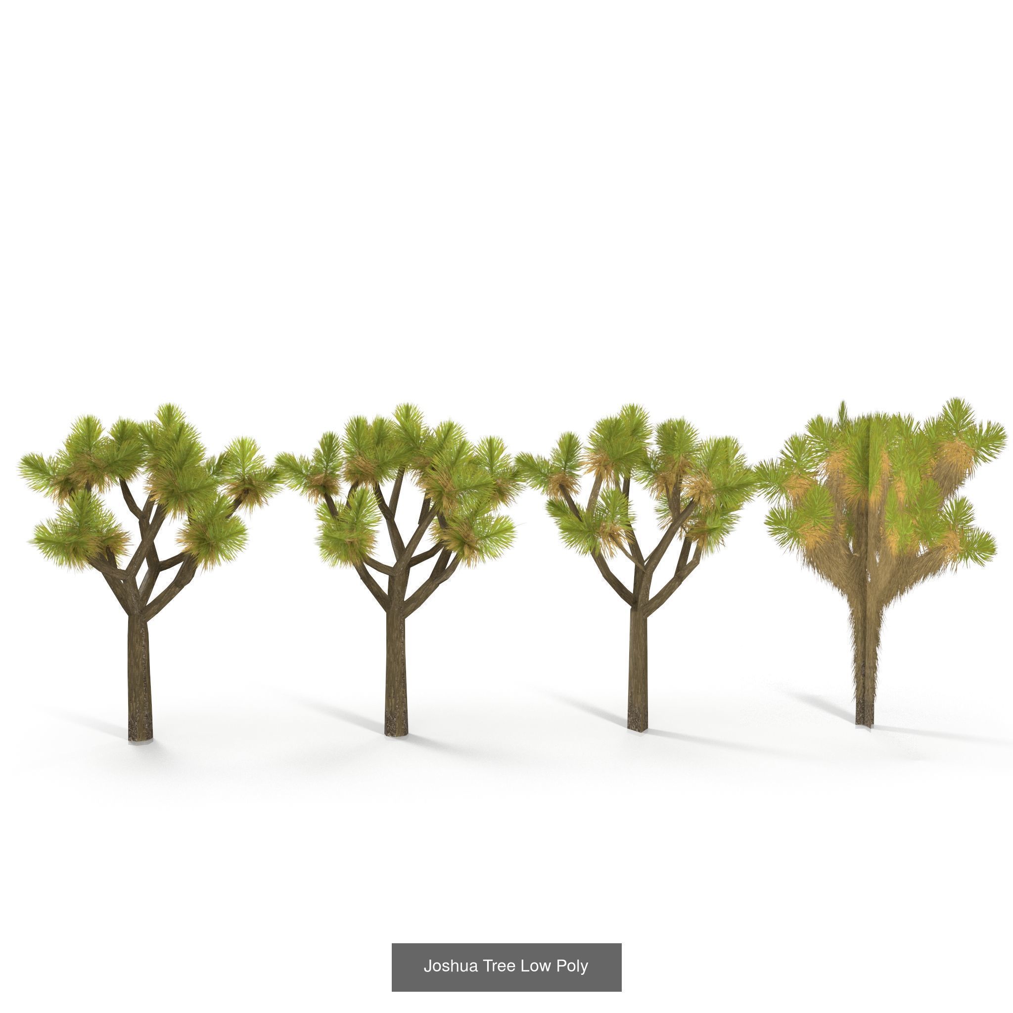 Low Poly Plants Collection _2
