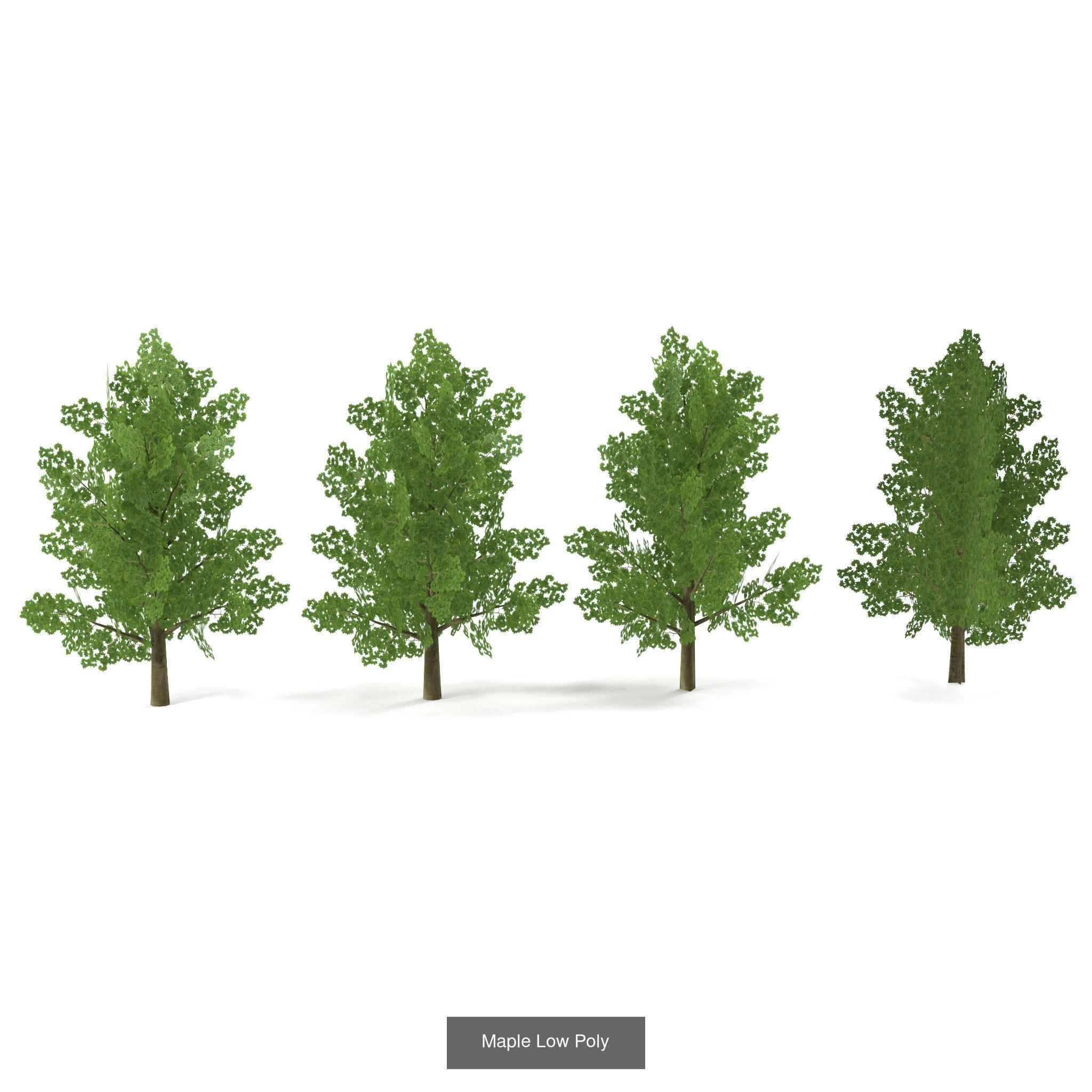 Low Poly Plants Collection _5