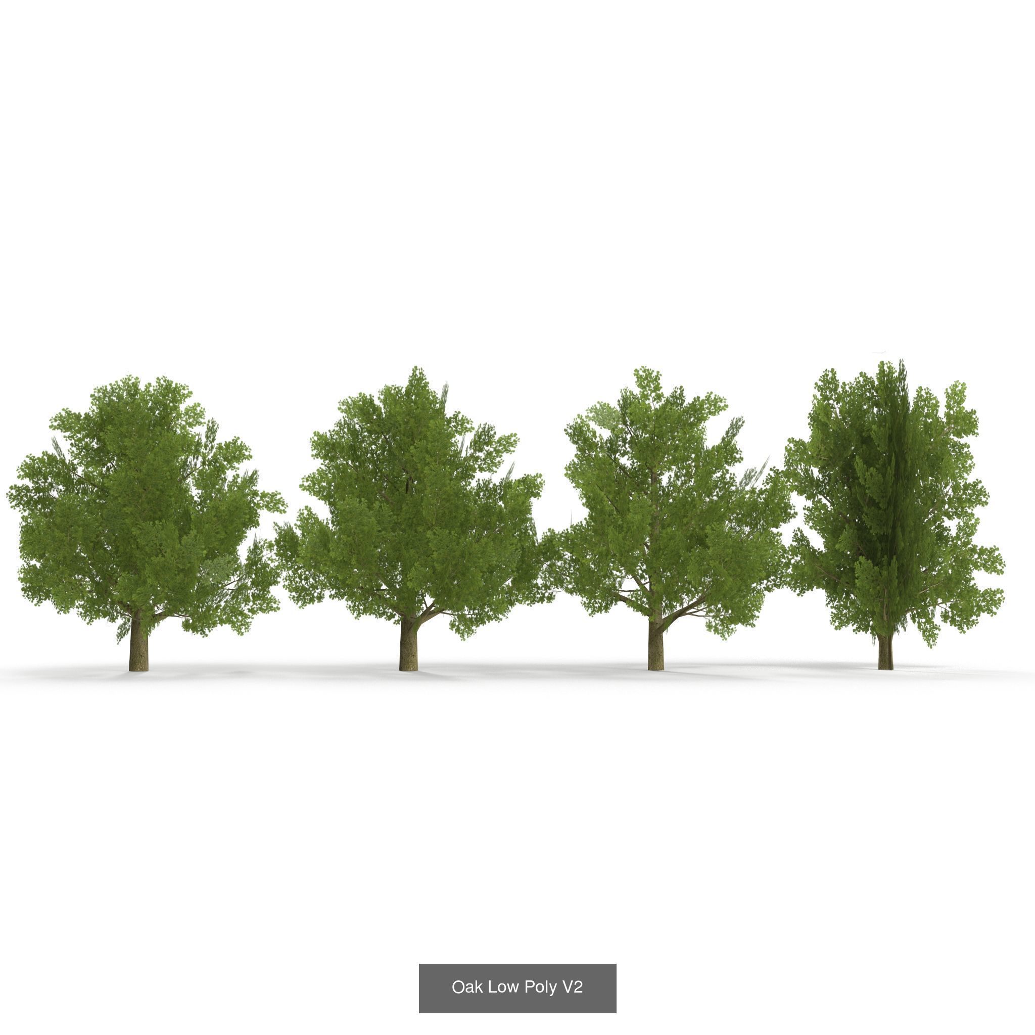 Low Poly Plants Collection _7