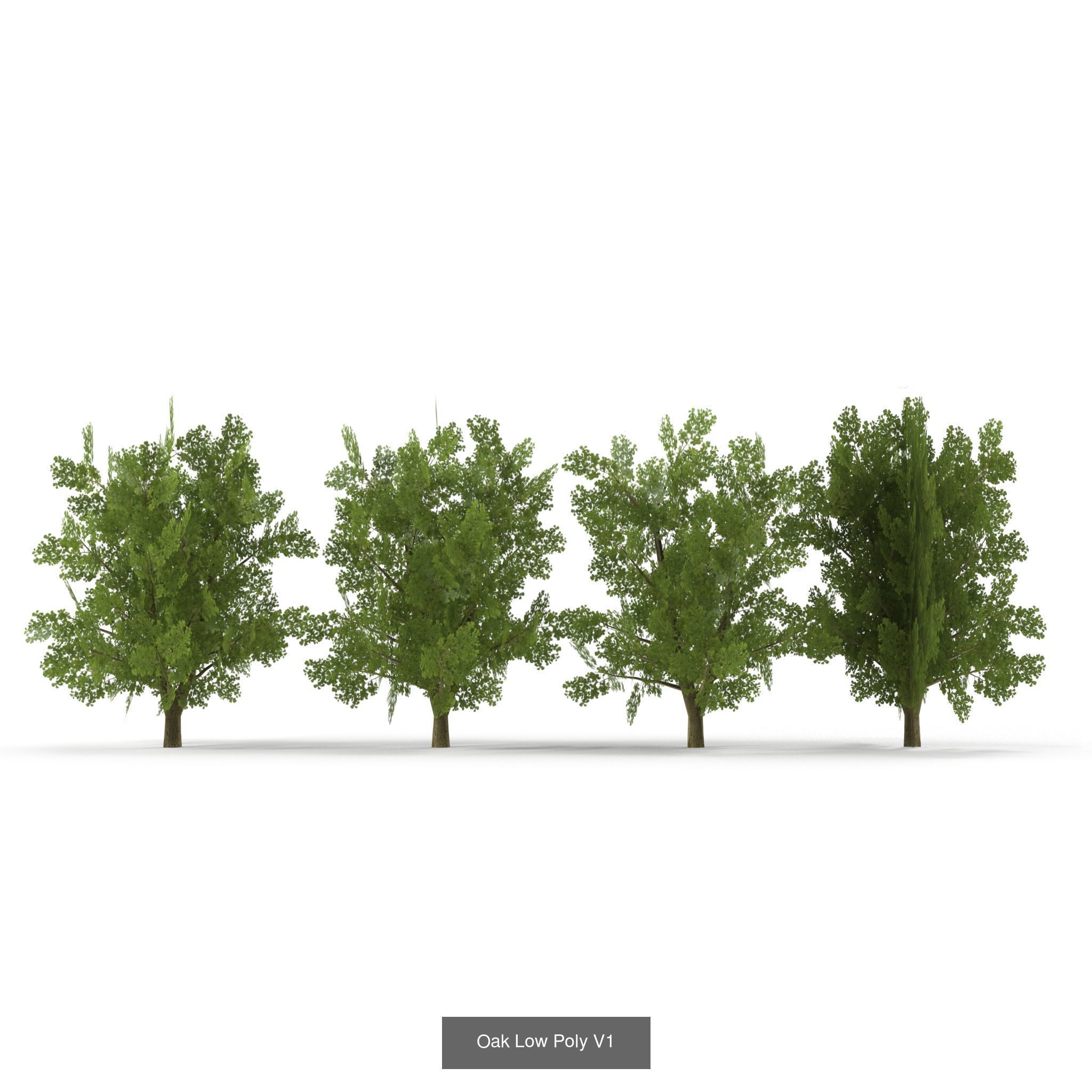 Low Poly Plants Collection _6