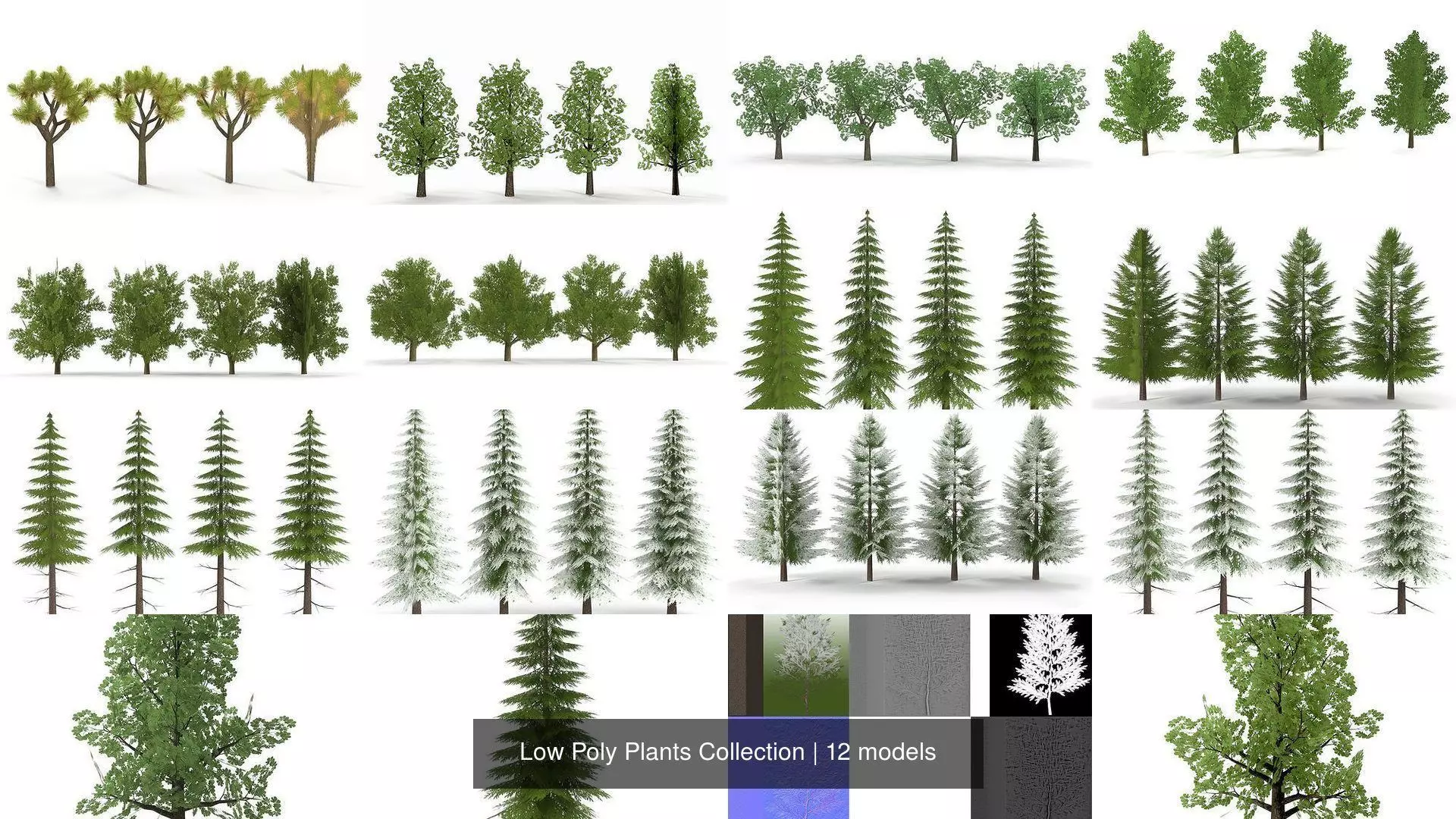 Low Poly Plants Collection _1