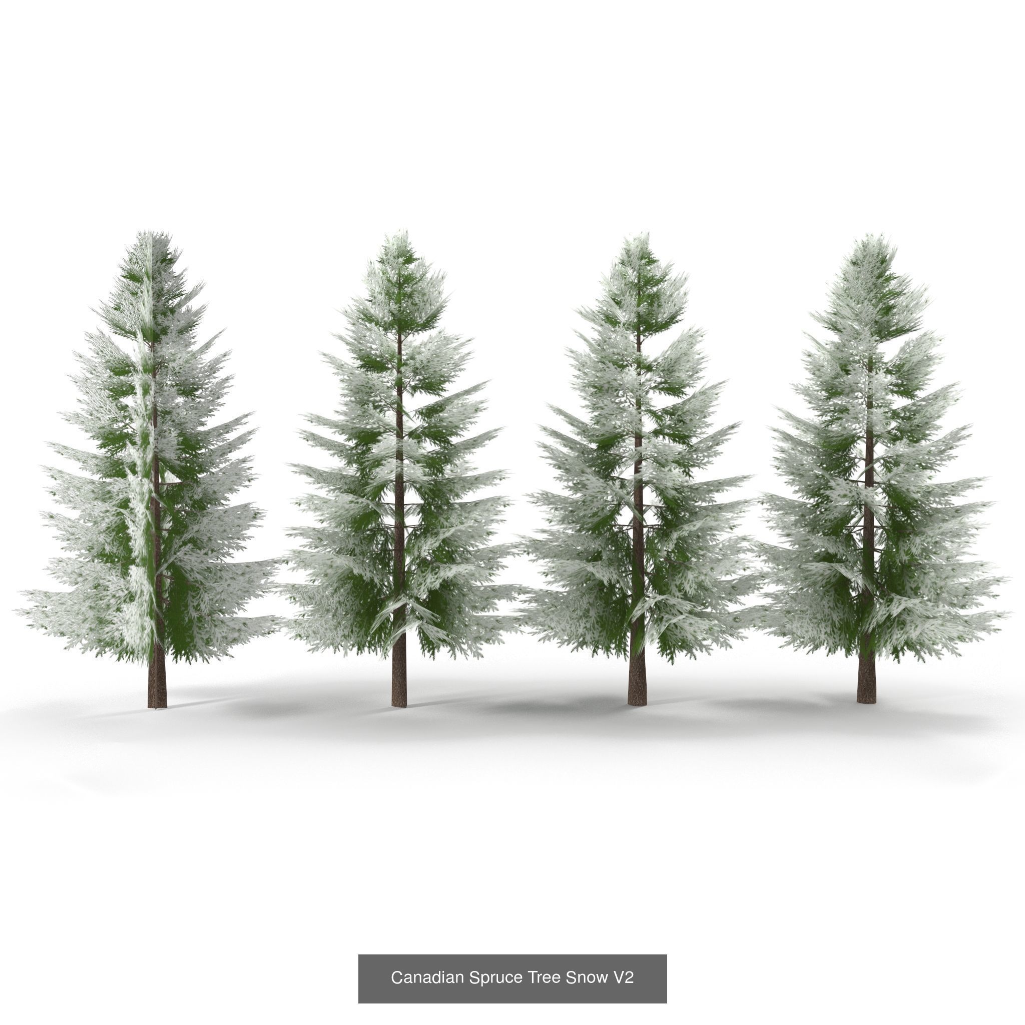 Low Poly Plants Collection _12