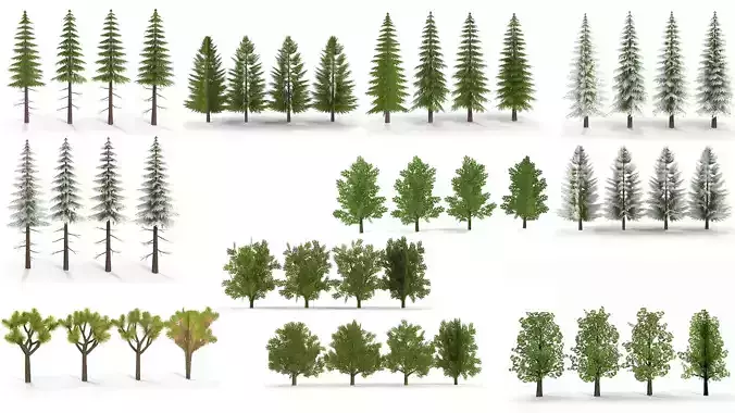 Low Poly Plants Collection 