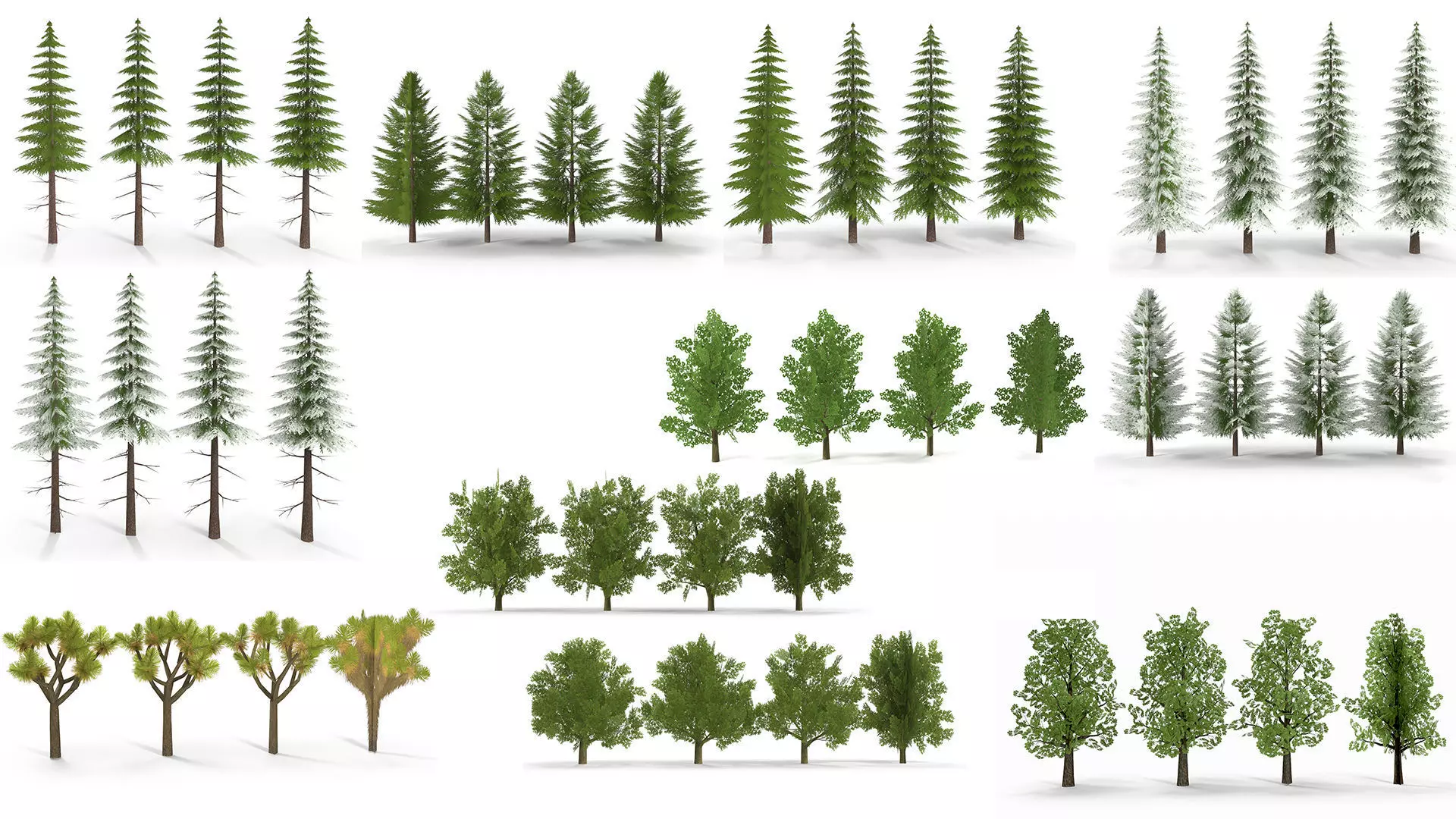 Low Poly Plants Collection _0